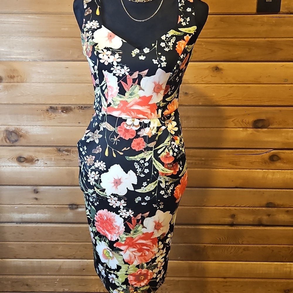 Romantic Bodycon Dress Black & Pink Floral Design Womens Size 2 Sheer Back Zipup